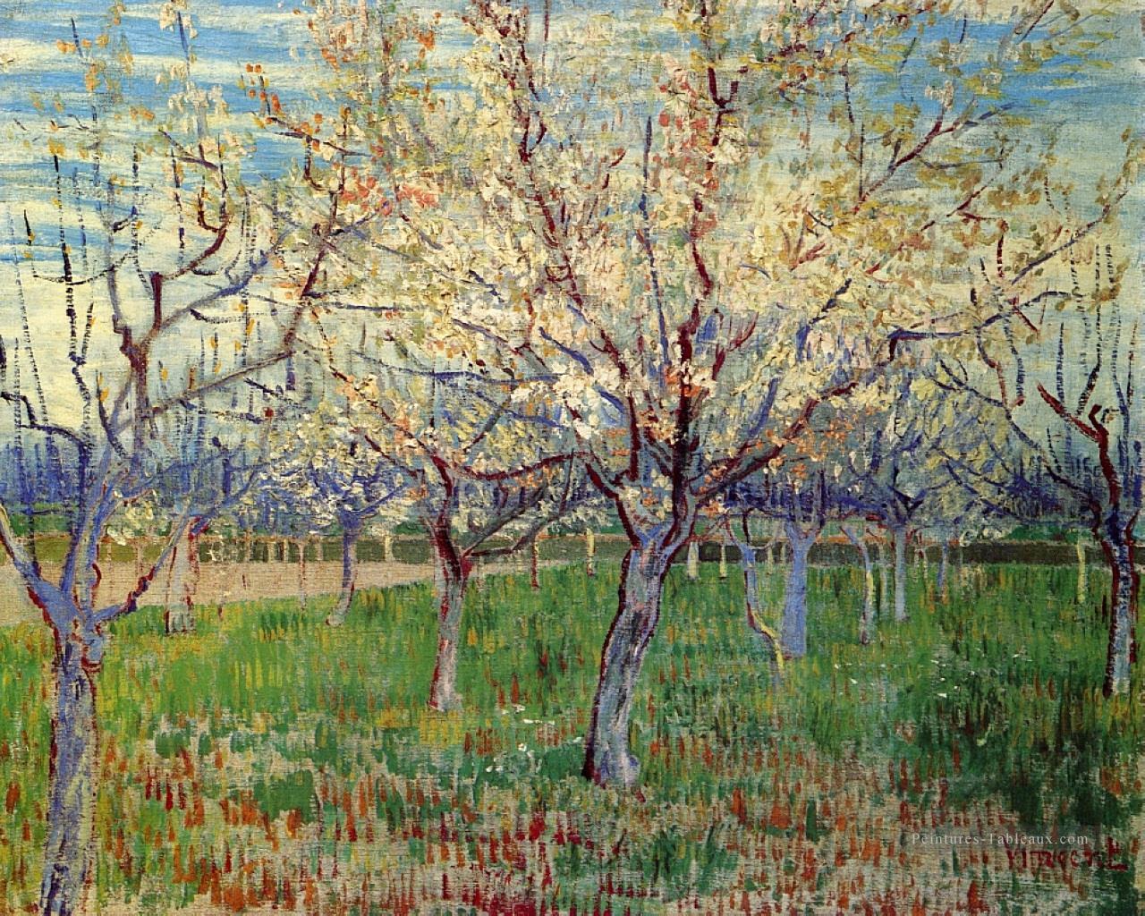 Verger avec floraison d’abricotiers Vincent van Gogh Peintures à l'huile